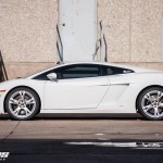 Lamborghini Gallardo by Dallas Performance