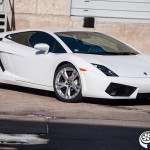 Lamborghini Gallardo by Dallas Performance