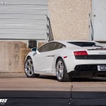 Lamborghini Gallardo by Dallas Performance