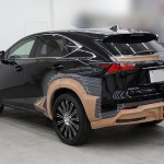 Lexus NX by Wald International