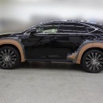 Lexus NX by Wald International