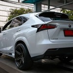 Lexus NX by ProDrive