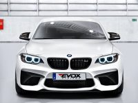 BMW M2 by Alpha N-Performance Comes with 3-Stage Power Kits
