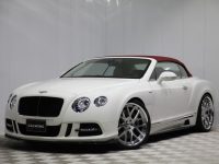 Bentley Continental GT Gets Smashing Mansory Design from Calwing