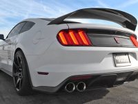 Video: New 2016 Shelby GT350R Gets Ready for some Accelerations and Burnouts