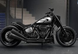 Harley Davidson Starscream (1)